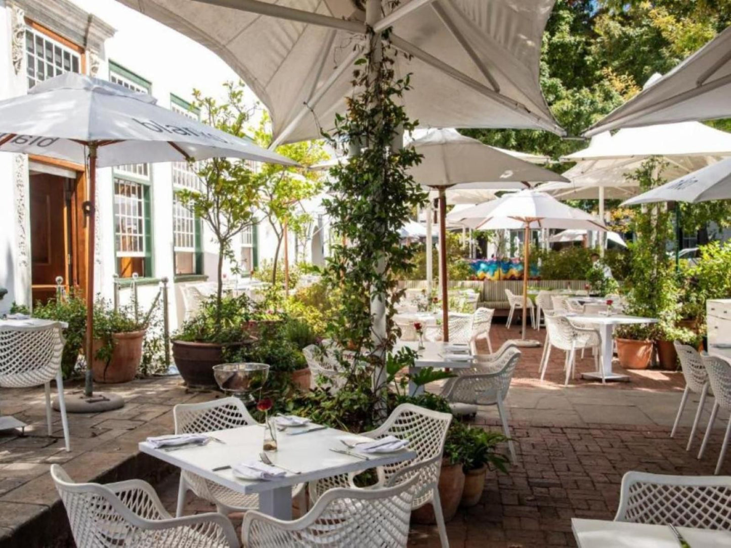 The Alphen Boutique Hotel And Spa Alphen Cape Town Western Cape South Africa House, Building, Architecture, Restaurant, Bar, Garden, Nature, Plant