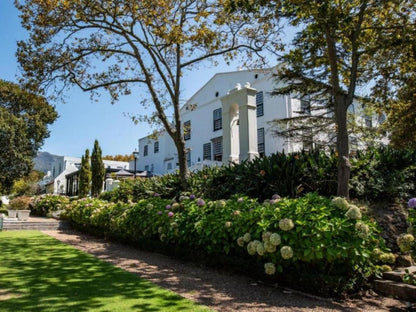 The Alphen Boutique Hotel And Spa Alphen Cape Town Western Cape South Africa House, Building, Architecture, Garden, Nature, Plant