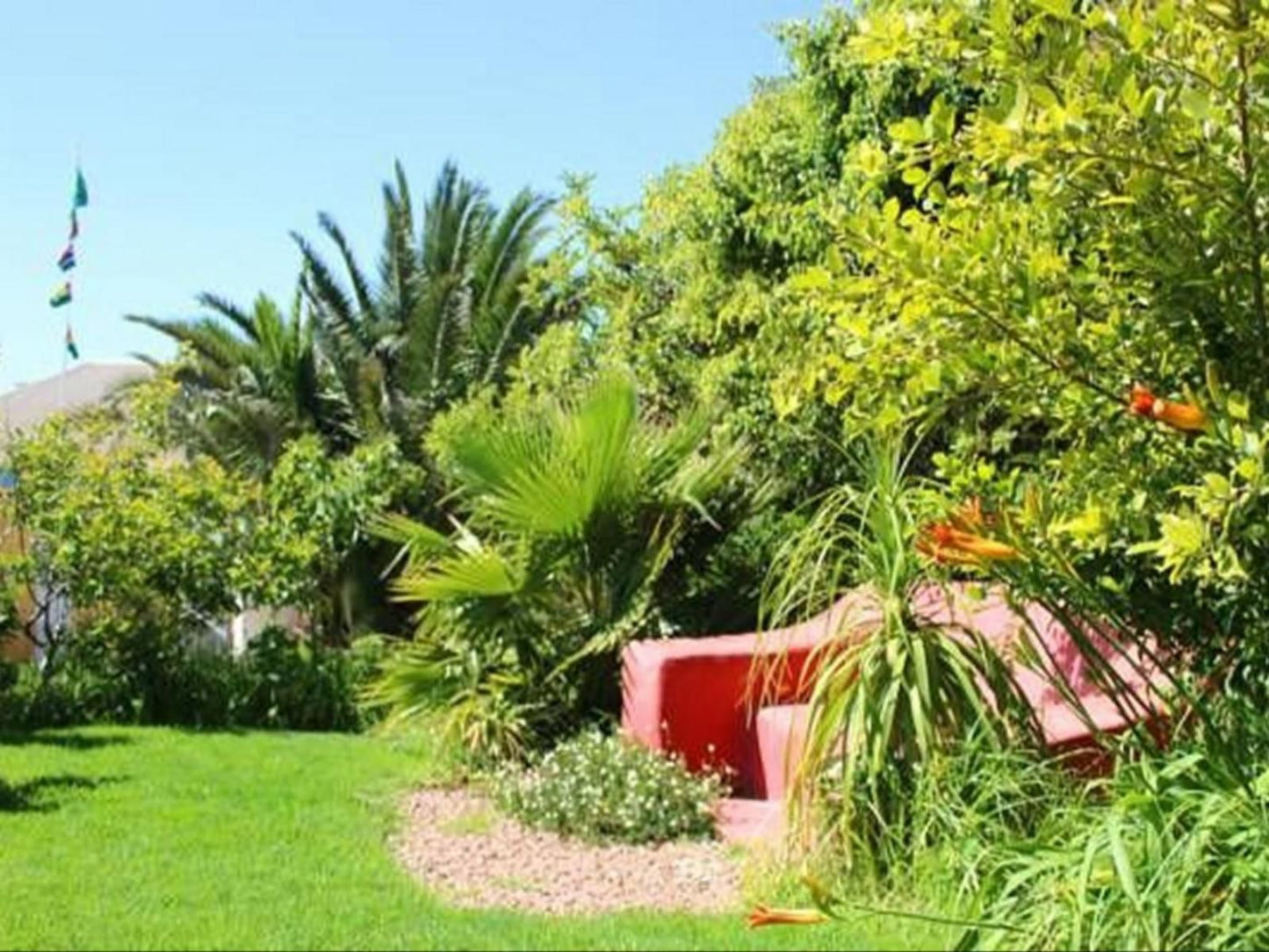 Alte Villa, Colorful, Palm Tree, Plant, Nature, Wood, Garden