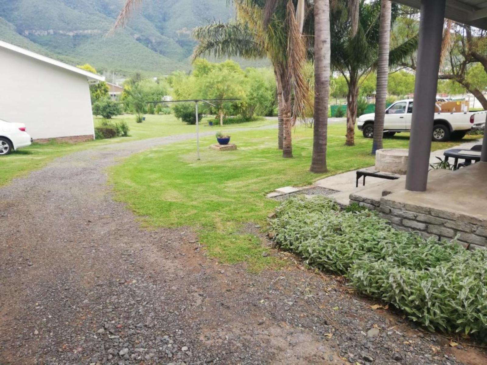 Altenburgh Accommodation Somerset East Eastern Cape South Africa Palm Tree, Plant, Nature, Wood, Garden