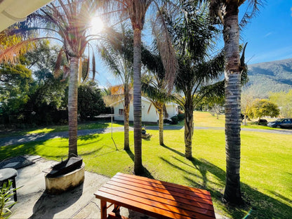 Altenburgh Accommodation Somerset East Eastern Cape South Africa Palm Tree, Plant, Nature, Wood