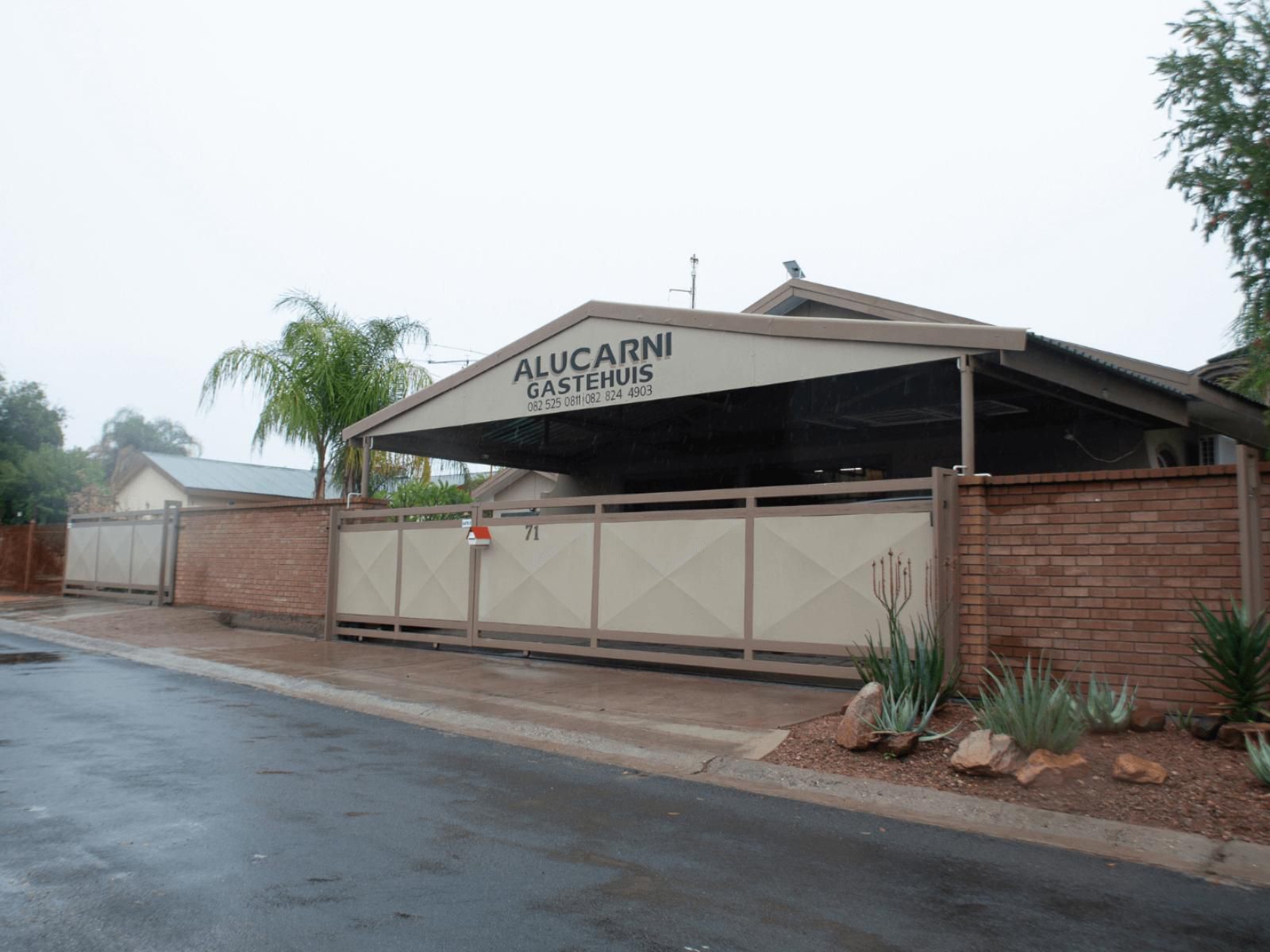 Alucarni Guest House Blydeville Upington Northern Cape South Africa Palm Tree, Plant, Nature, Wood