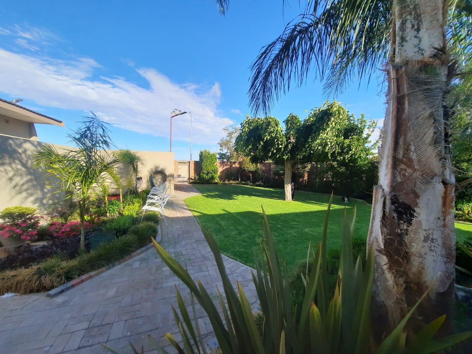 Alucarni Guest House Blydeville Upington Northern Cape South Africa Palm Tree, Plant, Nature, Wood, Garden