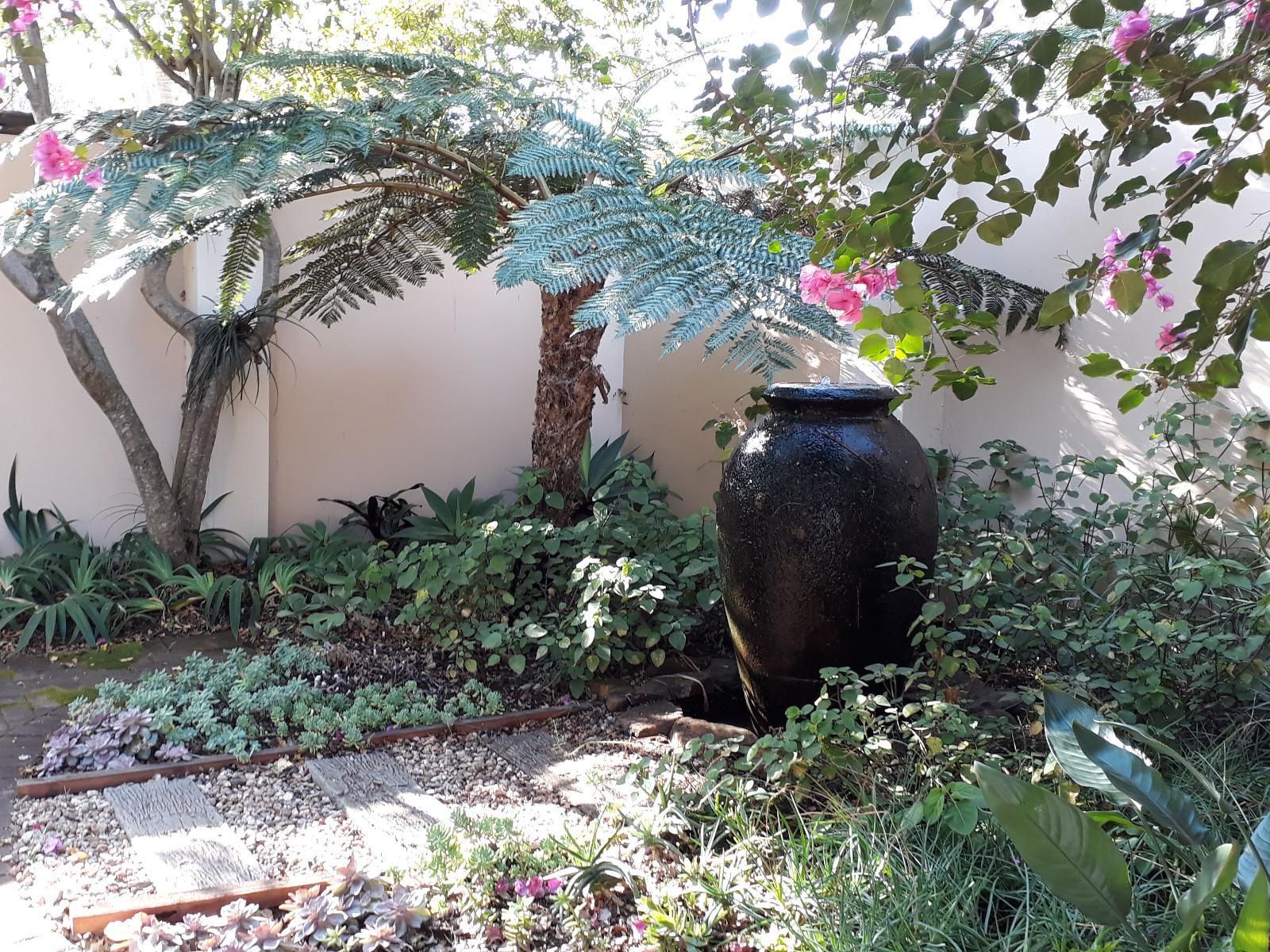 Ama Casa Cottages, Palm Tree, Plant, Nature, Wood, Garden