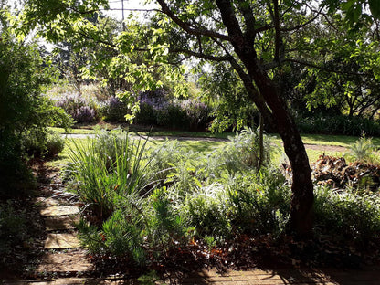 Ama Casa Cottages, Plant, Nature, Garden