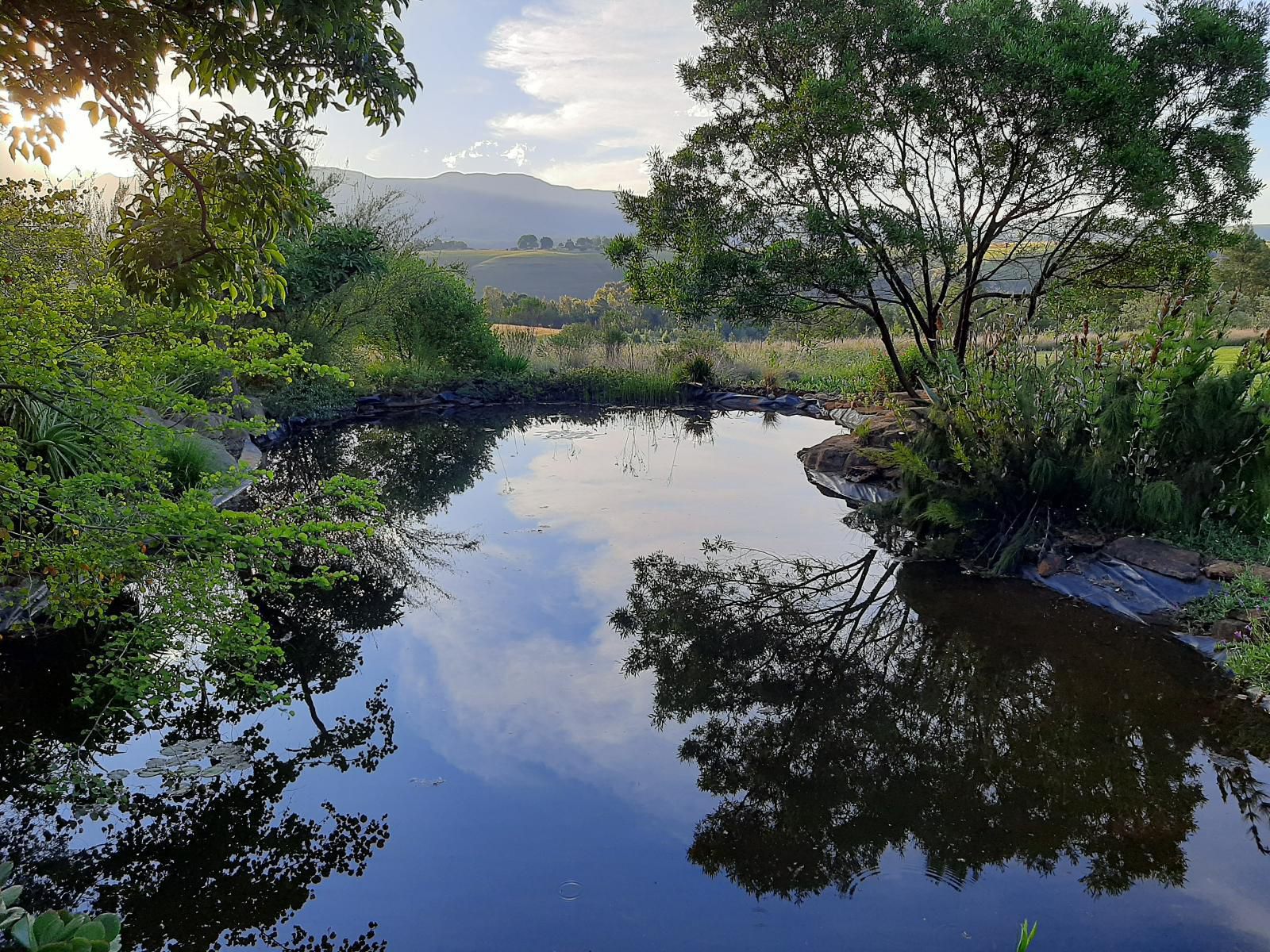 Ama Casa Cottages, River, Nature, Waters, Tree, Plant, Wood, Highland