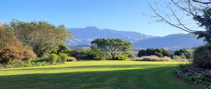 Ama Casa Cottages, Ball Game, Sport, Framing, Nature