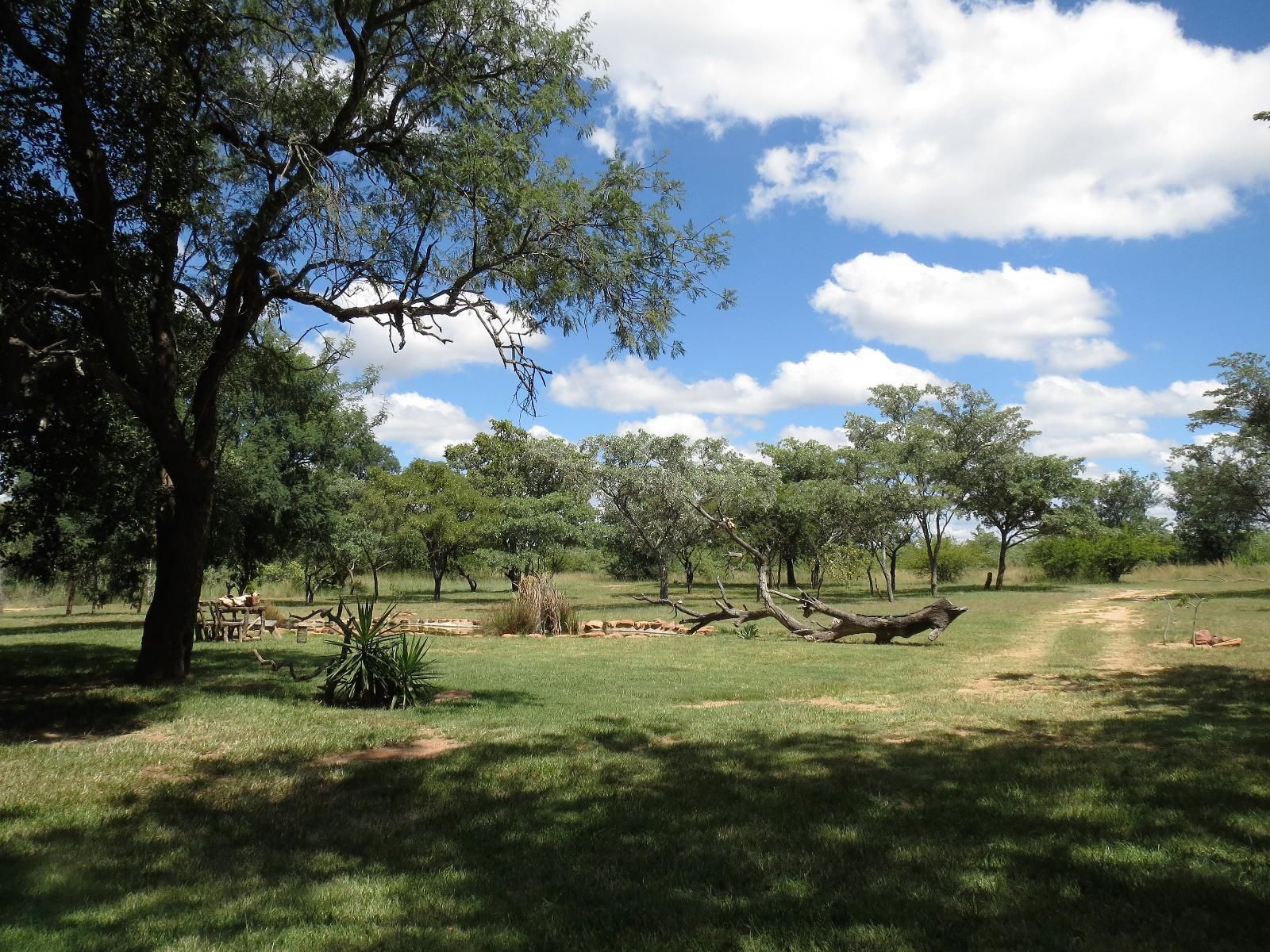 Ama Amanzi Bush Lodge Vaalwater Limpopo Province South Africa Lowland, Nature