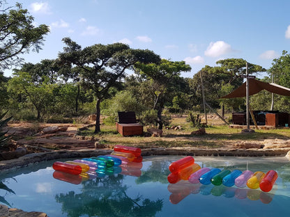 Ama Amanzi Bush Lodge Vaalwater Limpopo Province South Africa Swimming Pool