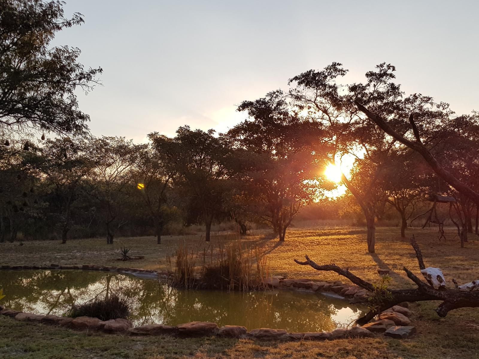 Ama Amanzi Bush Lodge Vaalwater Limpopo Province South Africa Nature, Sunset, Sky