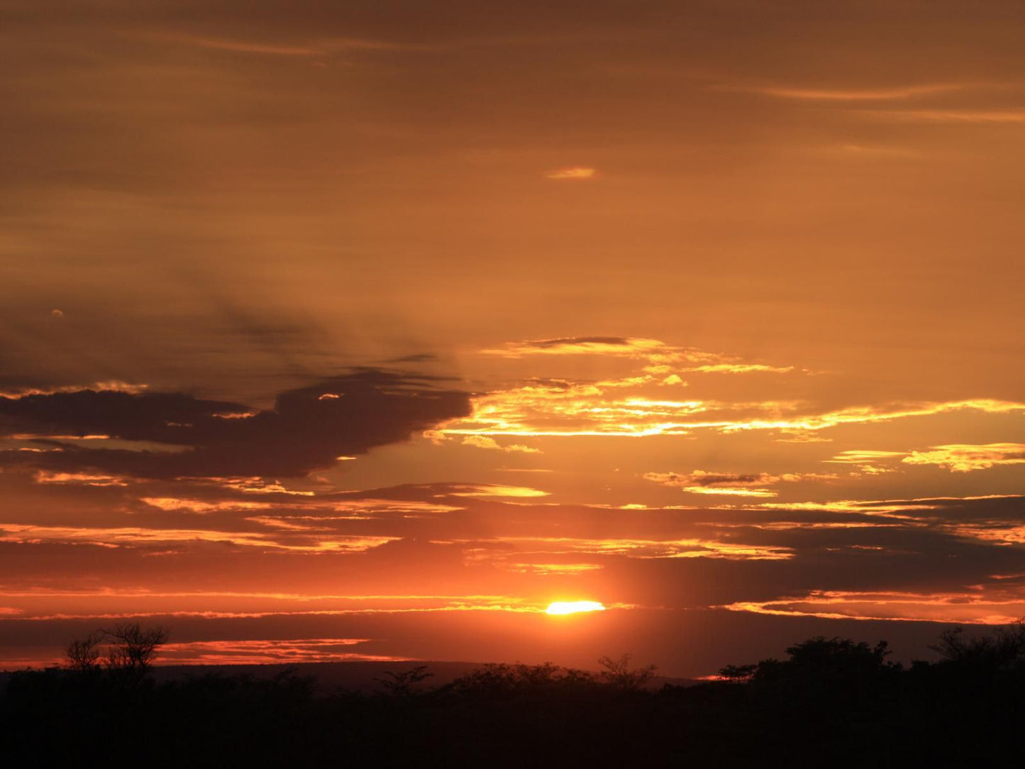 Ama Amanzi Bush Lodge Vaalwater Limpopo Province South Africa Sky, Nature, Sunset