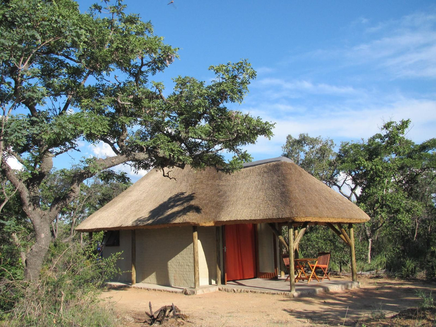 Ama Amanzi Bush Lodge Vaalwater Limpopo Province South Africa Complementary Colors, Island, Nature