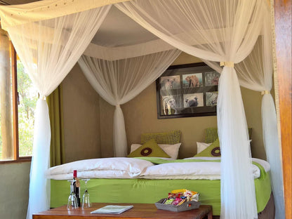 Ama Amanzi Bush Lodge Vaalwater Limpopo Province South Africa Bedroom