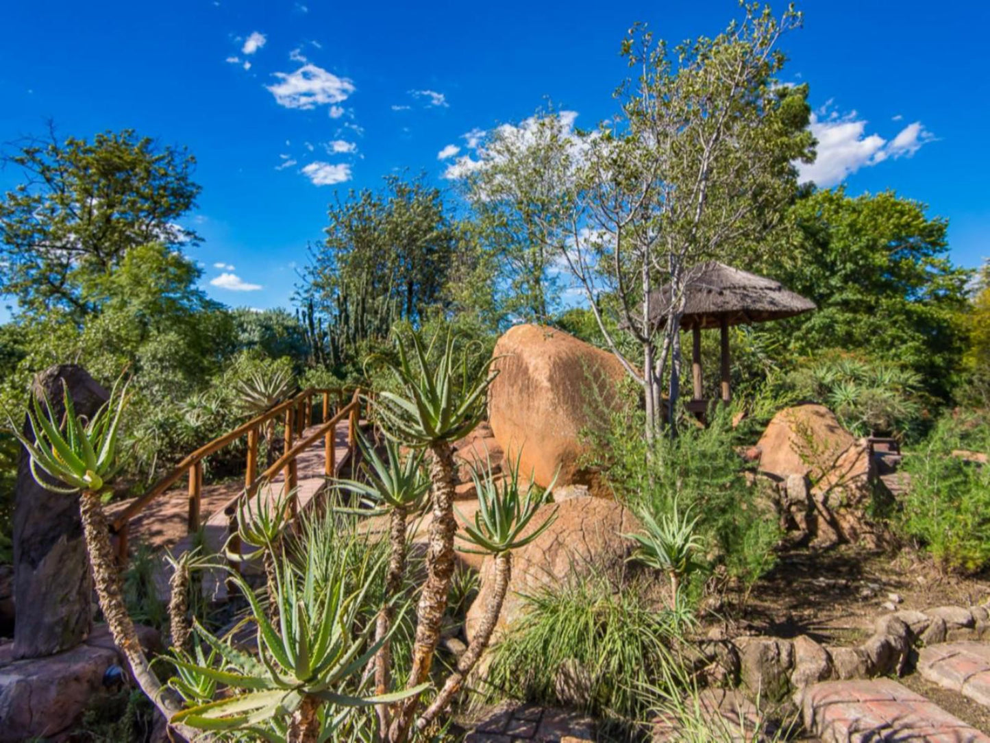 Amadwala Lodge Ruimsig Johannesburg Gauteng South Africa Complementary Colors, Plant, Nature, Garden