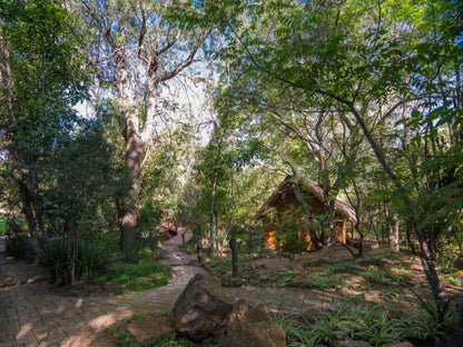 Amadwala Lodge Ruimsig Johannesburg Gauteng South Africa Forest, Nature, Plant, Tree, Wood