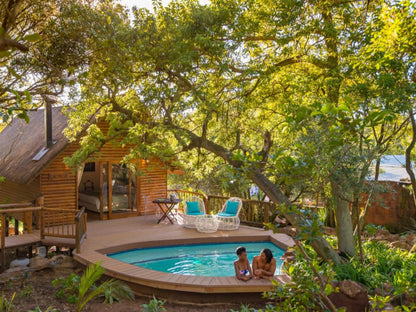 Amadwala Lodge Ruimsig Johannesburg Gauteng South Africa Garden, Nature, Plant, Swimming Pool