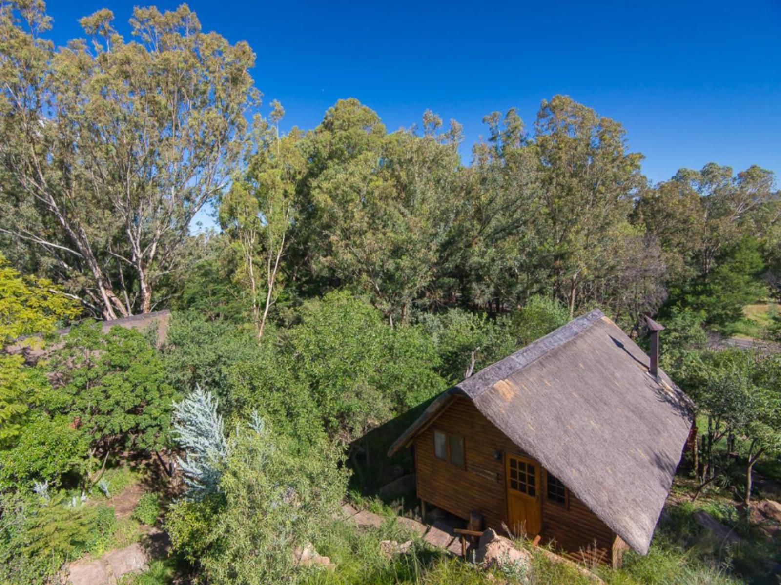 Amadwala Lodge Ruimsig Johannesburg Gauteng South Africa Complementary Colors, Building, Architecture, Cabin, Tree, Plant, Nature, Wood