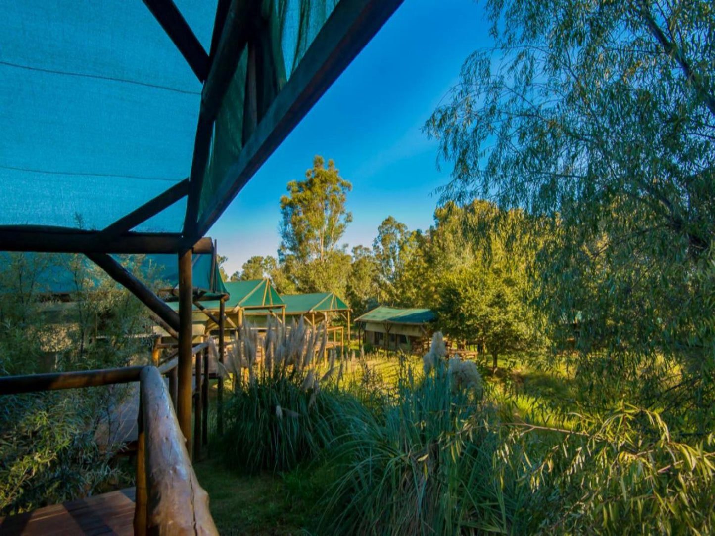 Safari Tent @ Amadwala Lodge