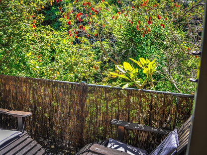 Amakhaya Lodge Hout Bay Cape Town Western Cape South Africa Plant, Nature, Garden