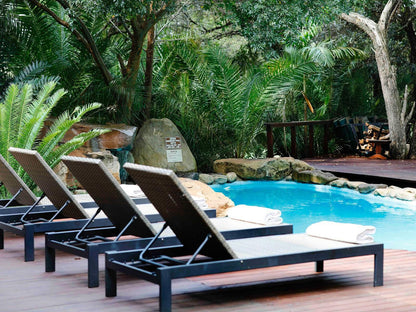 Amakhosi Safari Lodge Pongola Kwazulu Natal South Africa Swimming Pool