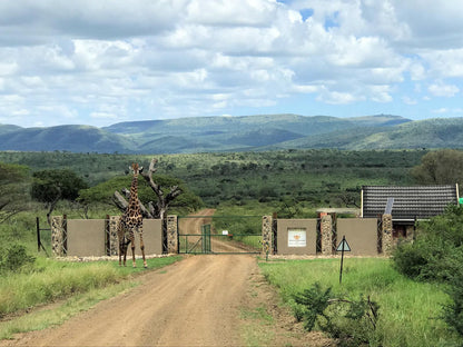 Amakhosi Safari Lodge Pongola Kwazulu Natal South Africa Complementary Colors, Lowland, Nature