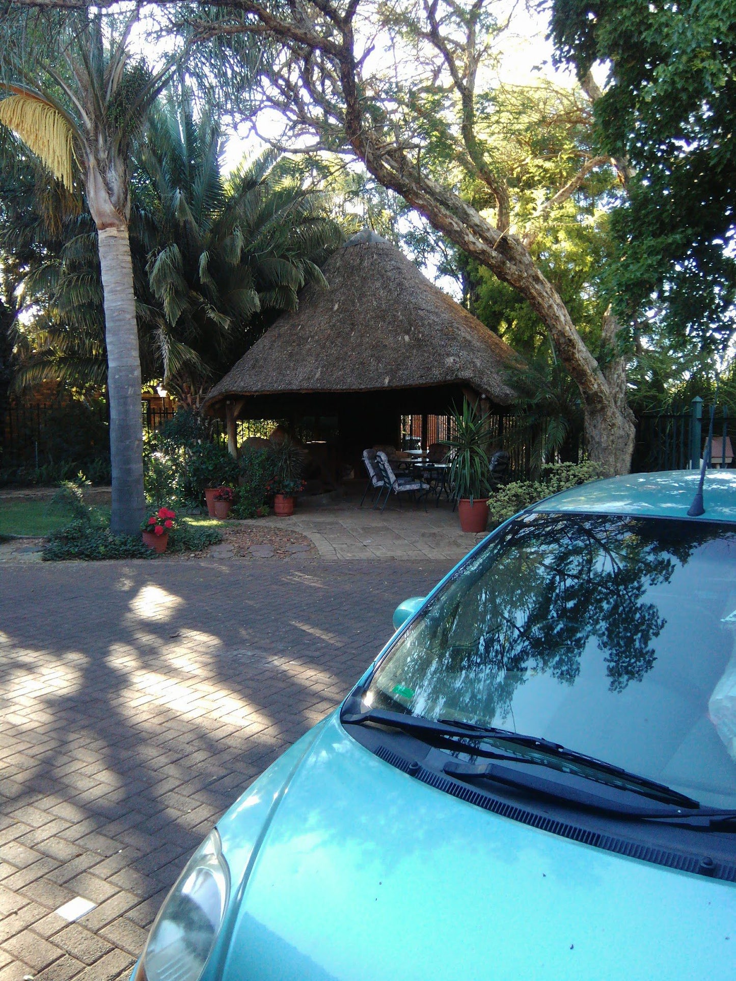 Amandia Guest House Heuwelsig Bloemfontein Free State South Africa Palm Tree, Plant, Nature, Wood, Car, Vehicle