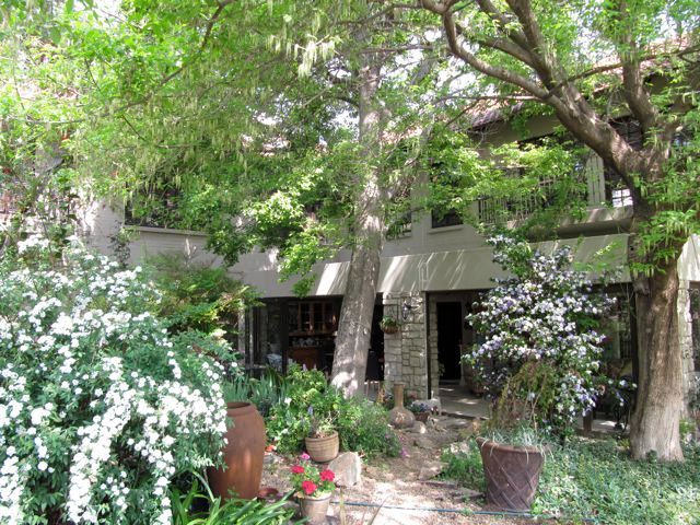 Amanzi Guesthouse Craighall Park Johannesburg Gauteng South Africa Plant, Nature, Garden