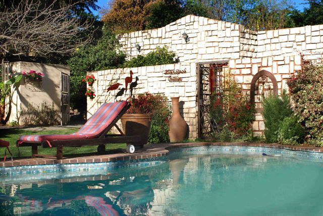 Amanzi Guesthouse Craighall Park Johannesburg Gauteng South Africa Garden, Nature, Plant, Swimming Pool