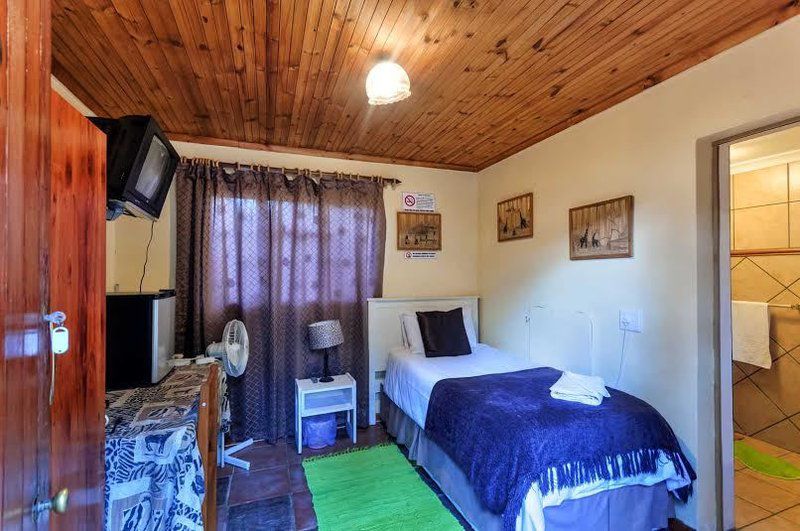 Amanzi Guest House Newton Park Port Elizabeth Eastern Cape South Africa Complementary Colors, Bedroom