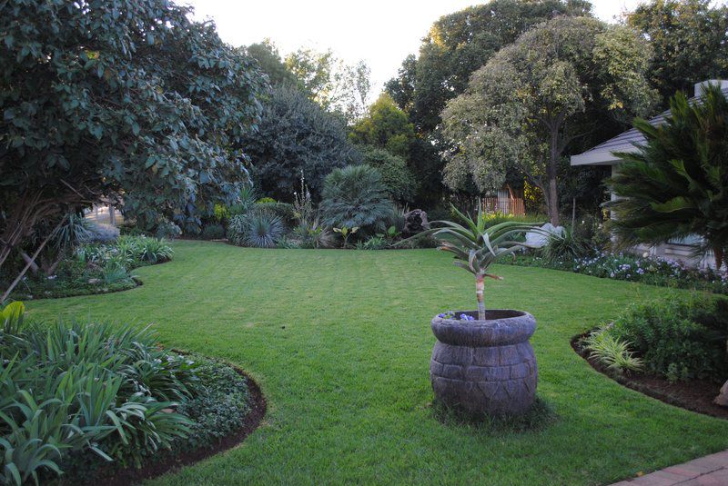 Amaris Guesthouse Lichtenburg North West Province South Africa Palm Tree, Plant, Nature, Wood, Garden