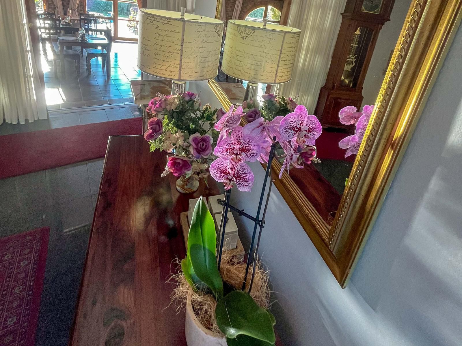 Amatola Mountain View Guest House King Williams Town Eastern Cape South Africa Bouquet Of Flowers, Flower, Plant, Nature