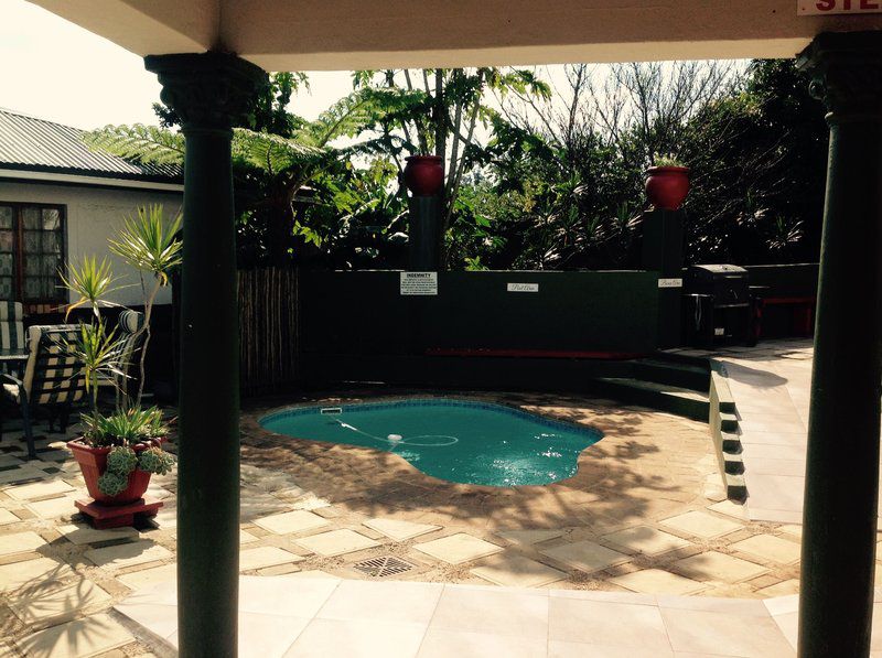 Amazing Bandb Eshowe Kwazulu Natal South Africa Palm Tree, Plant, Nature, Wood, Ball Game, Sport, Garden, Living Room, Swimming Pool