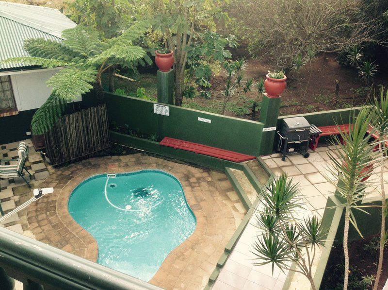 Amazing Bandb Eshowe Kwazulu Natal South Africa Garden, Nature, Plant, Swimming Pool