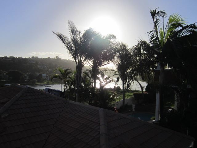 Amber Bed And Breakfast Beacon Bay East London Eastern Cape South Africa Unsaturated, Palm Tree, Plant, Nature, Wood, Sky, Sunset