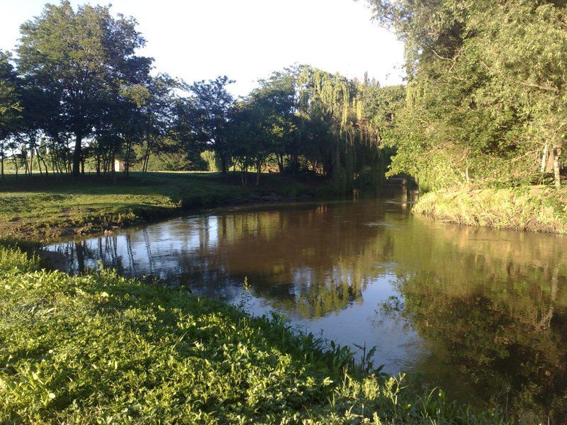 Amber Creek Guest House Vereeniging Vereeniging Gauteng South Africa River, Nature, Waters, Tree, Plant, Wood