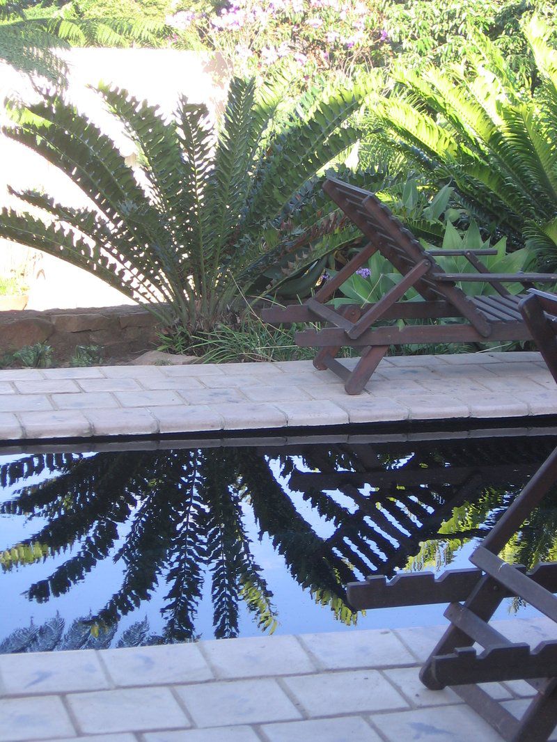 Ambercrest Bed And Breakfast Scottburgh Kwazulu Natal South Africa Palm Tree, Plant, Nature, Wood