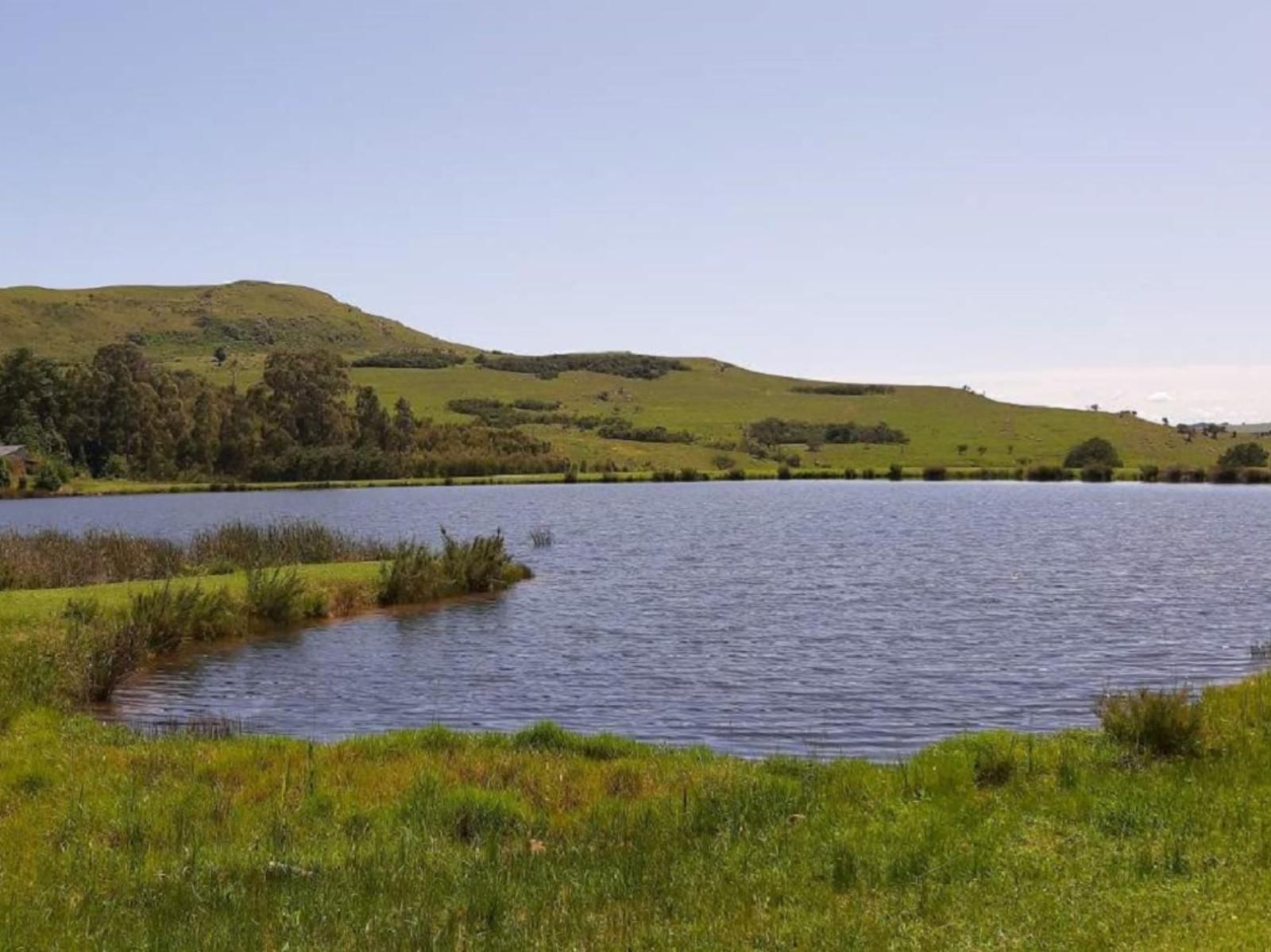 Amberley Mountain Reserve Dullstroom Mpumalanga South Africa Complementary Colors, River, Nature, Waters, Highland