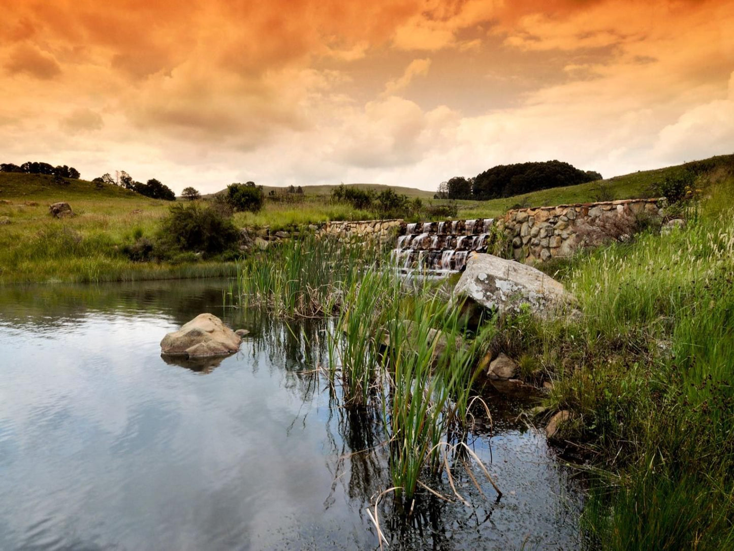 Amberley Mountain Reserve Dullstroom Mpumalanga South Africa Nature