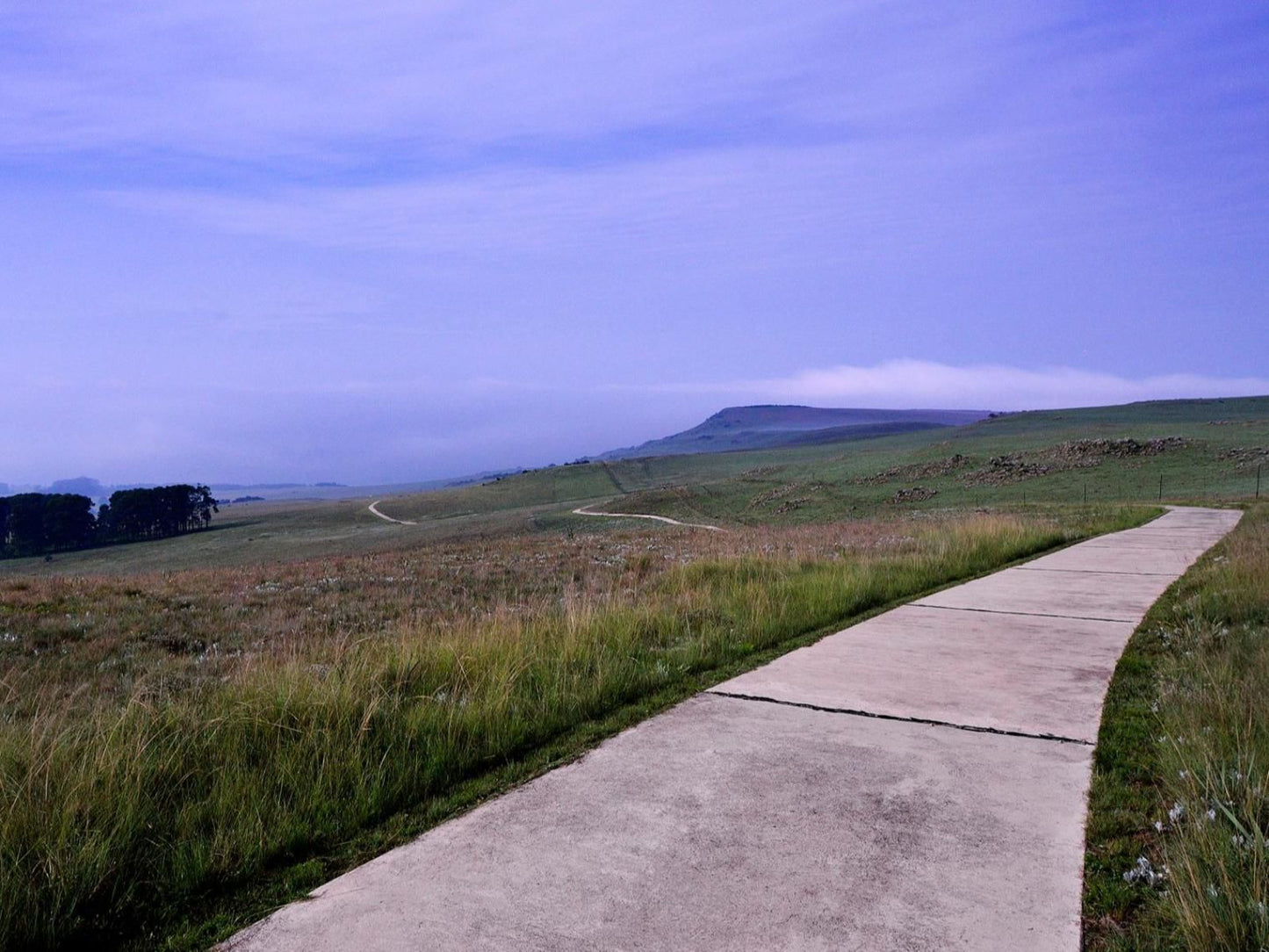 Amberley Mountain Reserve Dullstroom Mpumalanga South Africa Highland, Nature, Leading Lines, Street