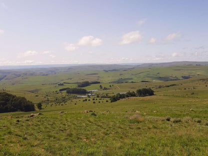 Amberley Mountain Reserve Dullstroom Mpumalanga South Africa Complementary Colors, Highland, Nature