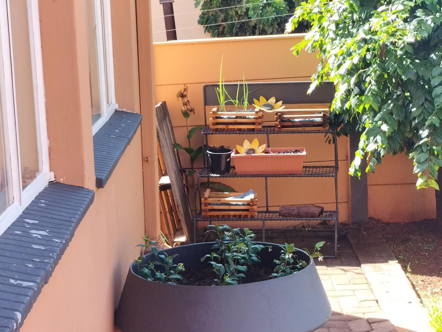 Amberlight Guest Accommodation Krugersdorp Gauteng South Africa Balcony, Architecture, Plant, Nature, Garden