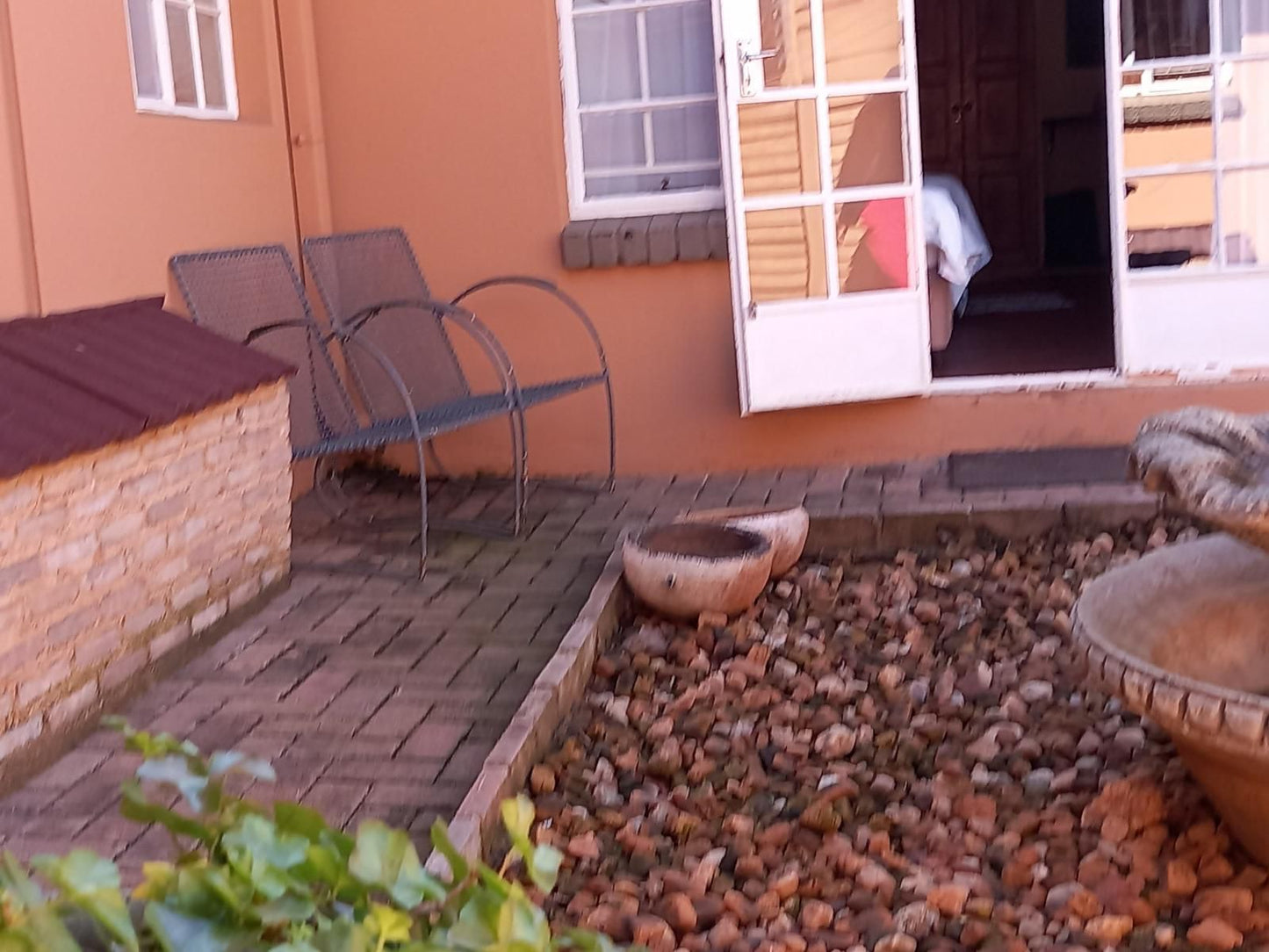 Amberlight Guest Accommodation Krugersdorp Gauteng South Africa Cat, Mammal, Animal, Pet