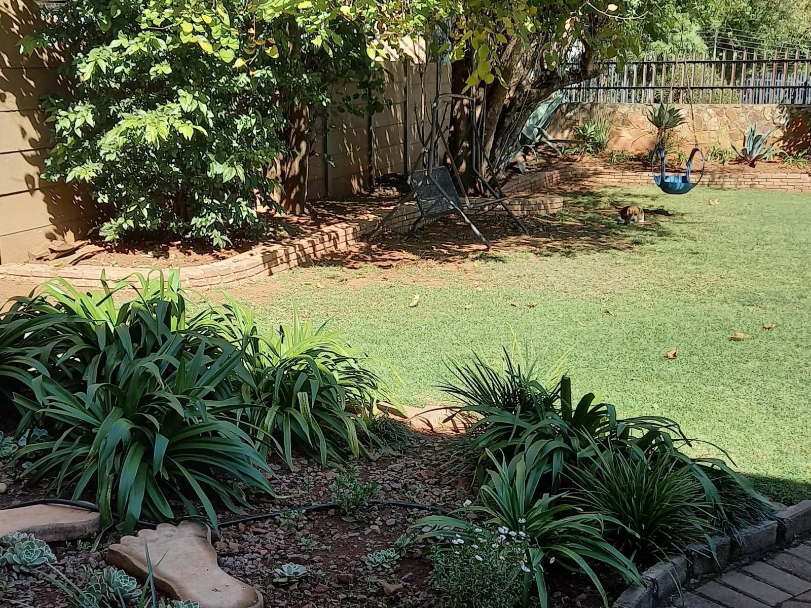Amberlight Guest Accommodation Krugersdorp Gauteng South Africa Palm Tree, Plant, Nature, Wood, Reptile, Animal, Garden