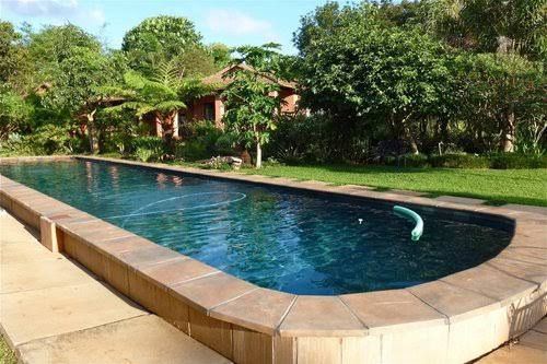 Ambience Inn White River Mpumalanga South Africa Palm Tree, Plant, Nature, Wood, Garden, Swimming Pool