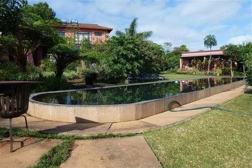 Ambience Inn White River Mpumalanga South Africa Complementary Colors, House, Building, Architecture, Palm Tree, Plant, Nature, Wood, Garden, Swimming Pool