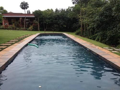 Ambience Inn White River Mpumalanga South Africa Palm Tree, Plant, Nature, Wood, Garden, Swimming Pool