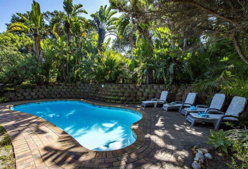 Ambiente Guest House Hunters Home Knysna Western Cape South Africa Palm Tree, Plant, Nature, Wood, Garden, Swimming Pool