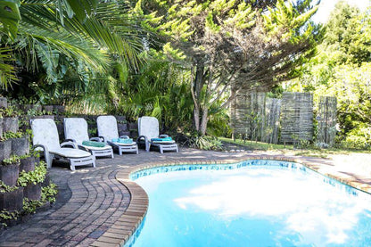 Ambiente Guest House Hunters Home Knysna Western Cape South Africa Garden, Nature, Plant, Swimming Pool