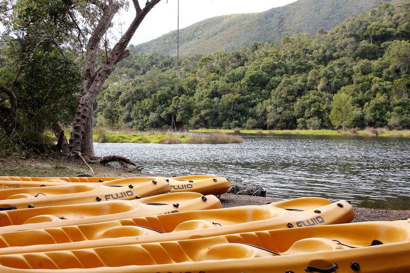 Amicus Natures Valley Eastern Cape South Africa Boat, Vehicle, Canoe, River, Nature, Waters
