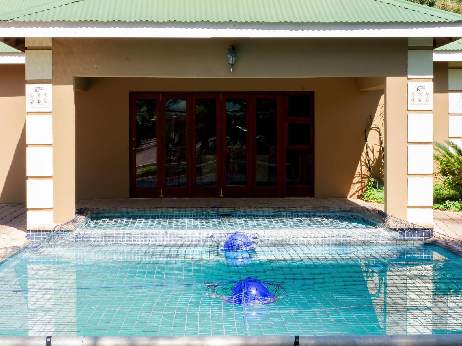 Amigos Guesthouse Brits North West Province South Africa Complementary Colors, Swimming Pool